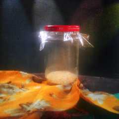 รูปของ Cara menyimpan sisa ragi