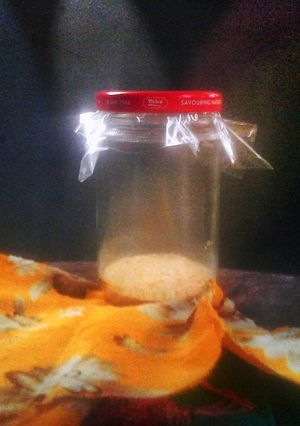 Foto resep Cara menyimpan sisa ragi