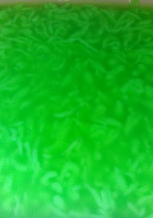 Foto resep 9.Cendol ijo simple #bikinRamadhanBerkesan