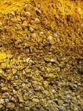 Homemade Curry Powder