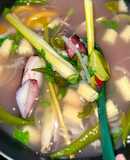 Sotong Singgang 🦑