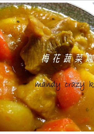 梅花蔬菜咖哩 的食譜成品照片