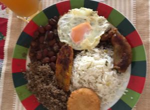 Una foto de Plato montañero