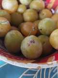 Confiture de mirabelles