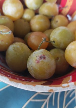 Une photo de Confiture de mirabelles