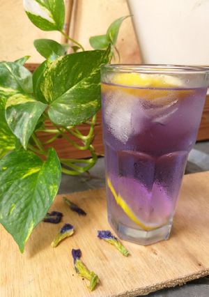Foto resep Teh Bunga Telang