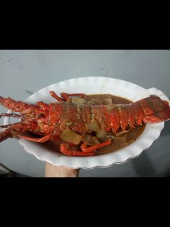 Foto resep Lobster saus tiram