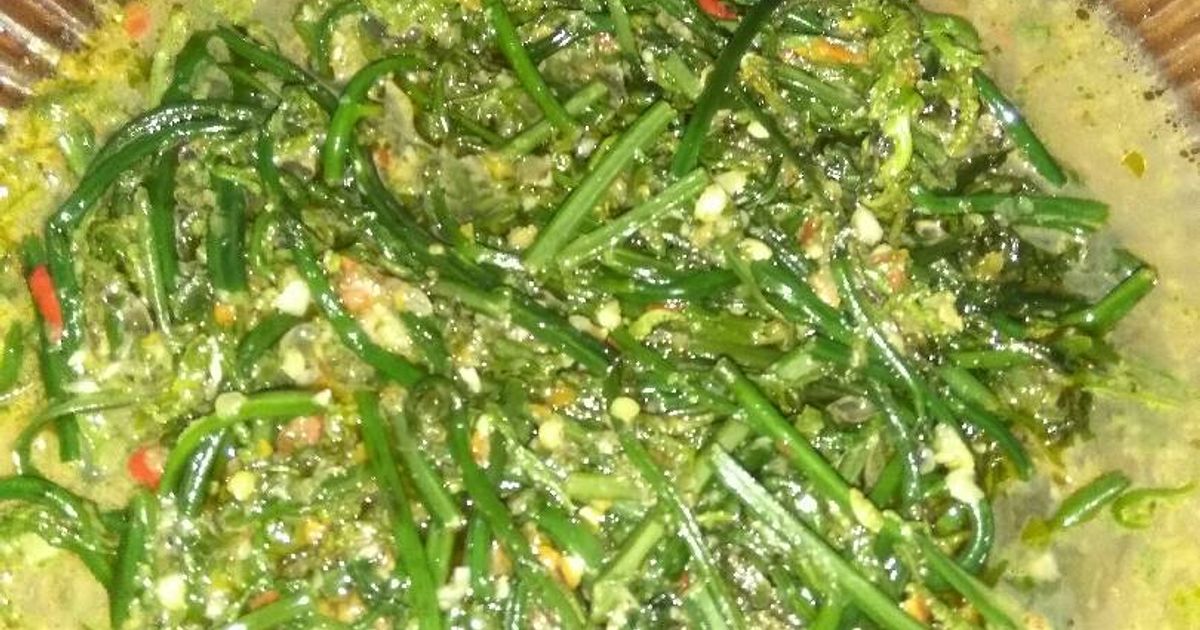 Resep Eseng Sayur Pakis oleh Ida Sutowo - Cookpad