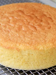 O poză a rețetei Blat de tort - umed si pusof + sirop.