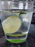 Agua Saborizada de Limón y Menta