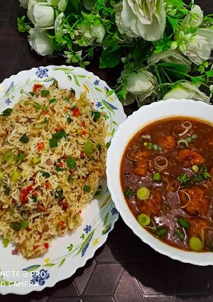 A picture of Veg Manchurian and Fried Rice.