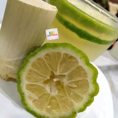 A picture of Sugarcane.