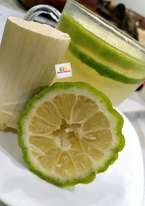 A picture of Sugarcane.