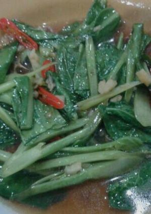 รูปของ ผัดคะน้าน้ำมันหอย