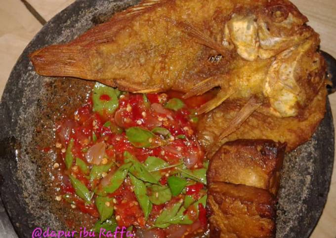 Resep Ikan Goreng Nila Dan Sambal Bajak Kemangi Oleh Dapur Ibu Raffa Cookpad