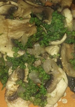 Una foto de Huanzontle y hongos 🌱🍄