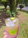 Es   jeruk  sirup  melon
