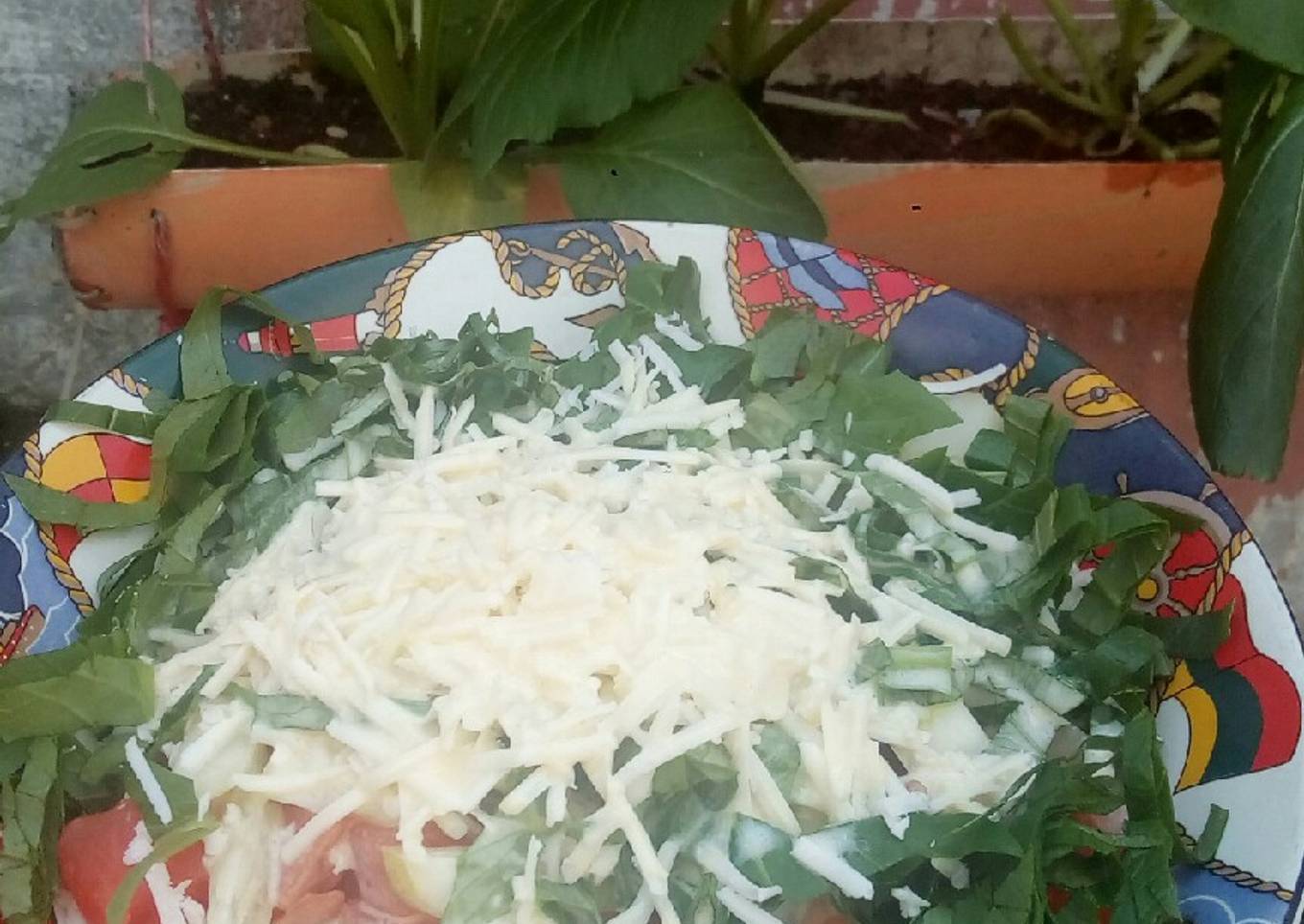 Salad sawi + pepaya + ketimun