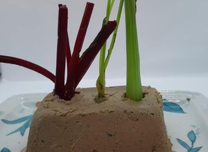 Una foto de Mini huerta de paté hígado de pollos