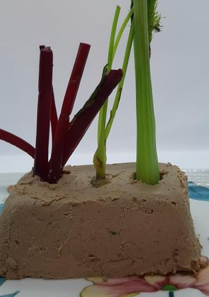 Una foto de Mini huerta de paté hígado de pollos