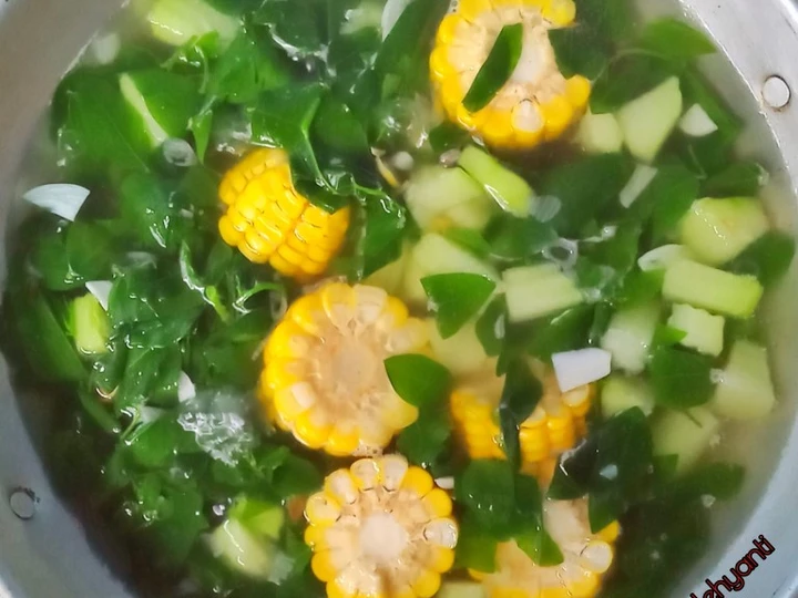 Cara Mudah Membikin Resep  Sayur Bening Daun Katuk yang Bikin Ngiler, Enak Banget