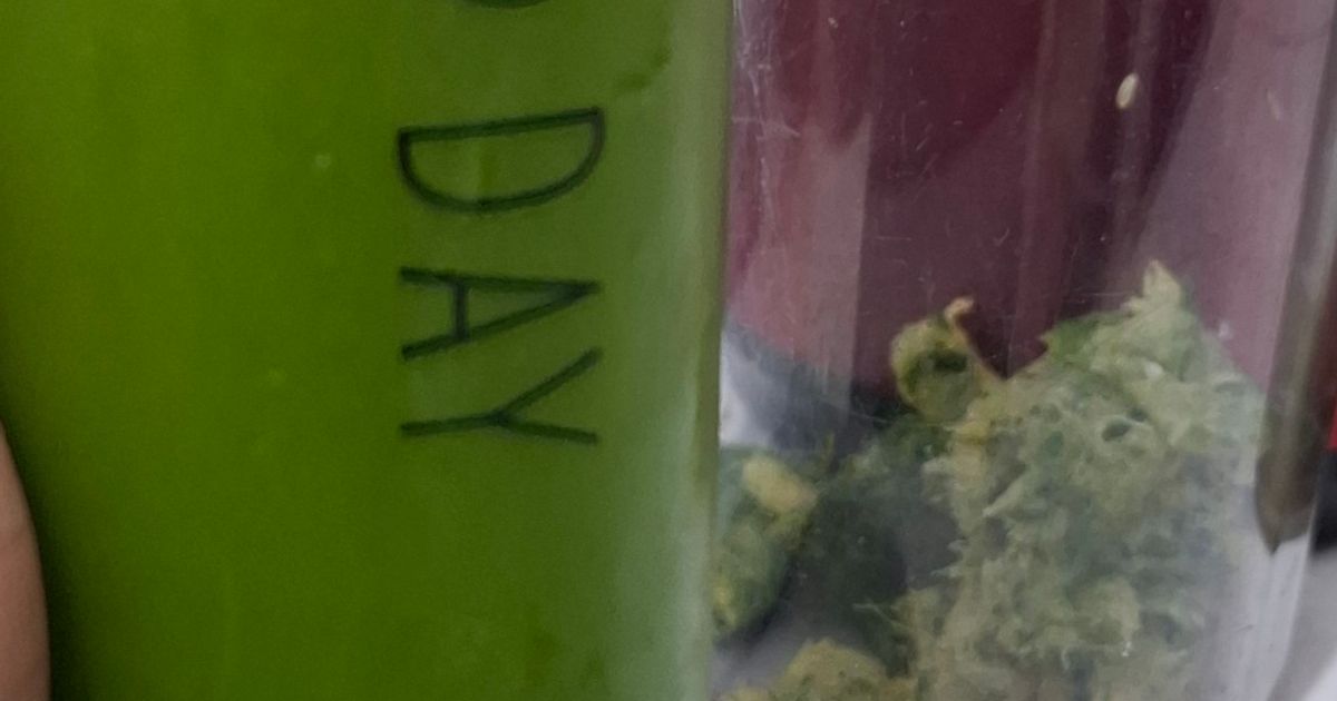 Green juice (jus hijau sehat)