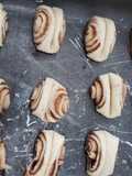 Pan o biscocho Caracol
