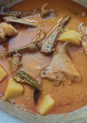 চিকেন কোরমা রেসিপির প্রধান ছবি