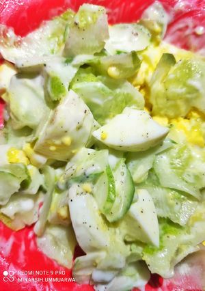 Foto resep Salad Timun Telur Rebus #476³¹