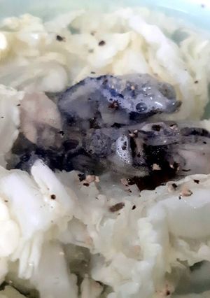 Hình của món Canh hàu nấu cải thảo.