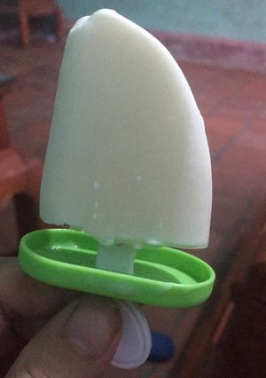A picture of Coconut Ice Cream.