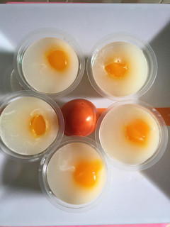 Foto resep Puding telor ceplok kenyal,,,