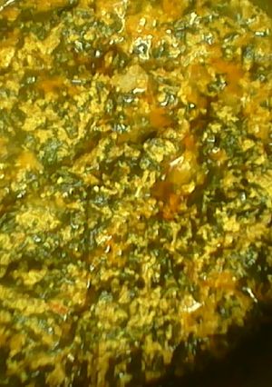 A picture of Egusi an shuwaka.