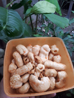 Foto resep Makaroni Goreng
