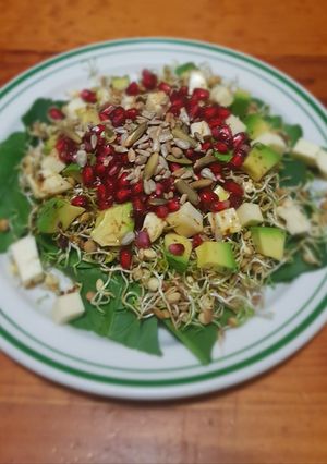 Una foto de Ensalada de germinado de lenteja con granada, aguacate y queso