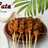 Sate Tempe