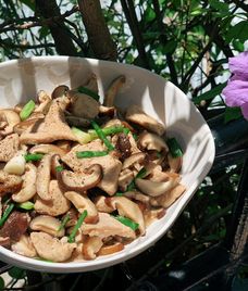 nấm xào thịt heo