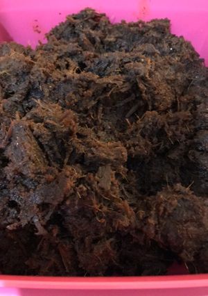 Gambar Rendang Tok kegemaran Abg Moncit!