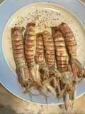 Canoce boide (cicale di mare lesse)