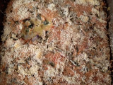 Verduras con atún al horno, en realidad es un invento