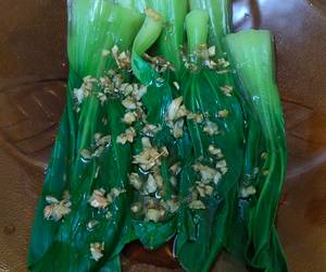 Resep Terbaik TumiS PakCoy Gurih Mantul Resep Terbaik TumiS PakCoy Gurih Mantul