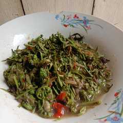 A picture of Tumis pakis.
