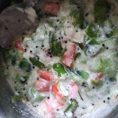 A picture of Sponge gourd raita.