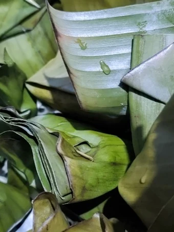 Cara Mudah Membuat Resep Bothok daging sapi yang Lezat Sekali