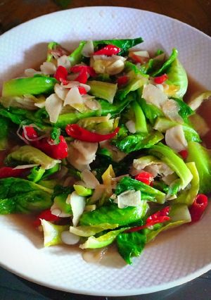 Foto resep Tumis keciwis