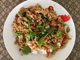 ผัดกะเพราโปรตีนเกษตร (เจ)