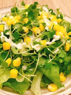 Hình của món Salad bắp rau mầm.