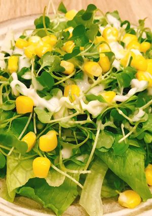 Hình của món Salad bắp rau mầm.