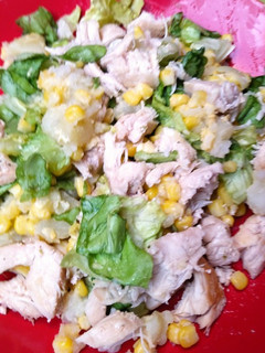 Una foto de Ensalada de Salpicón de Pollo 🥗