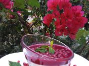 Une photo de recettes de grenade fruit